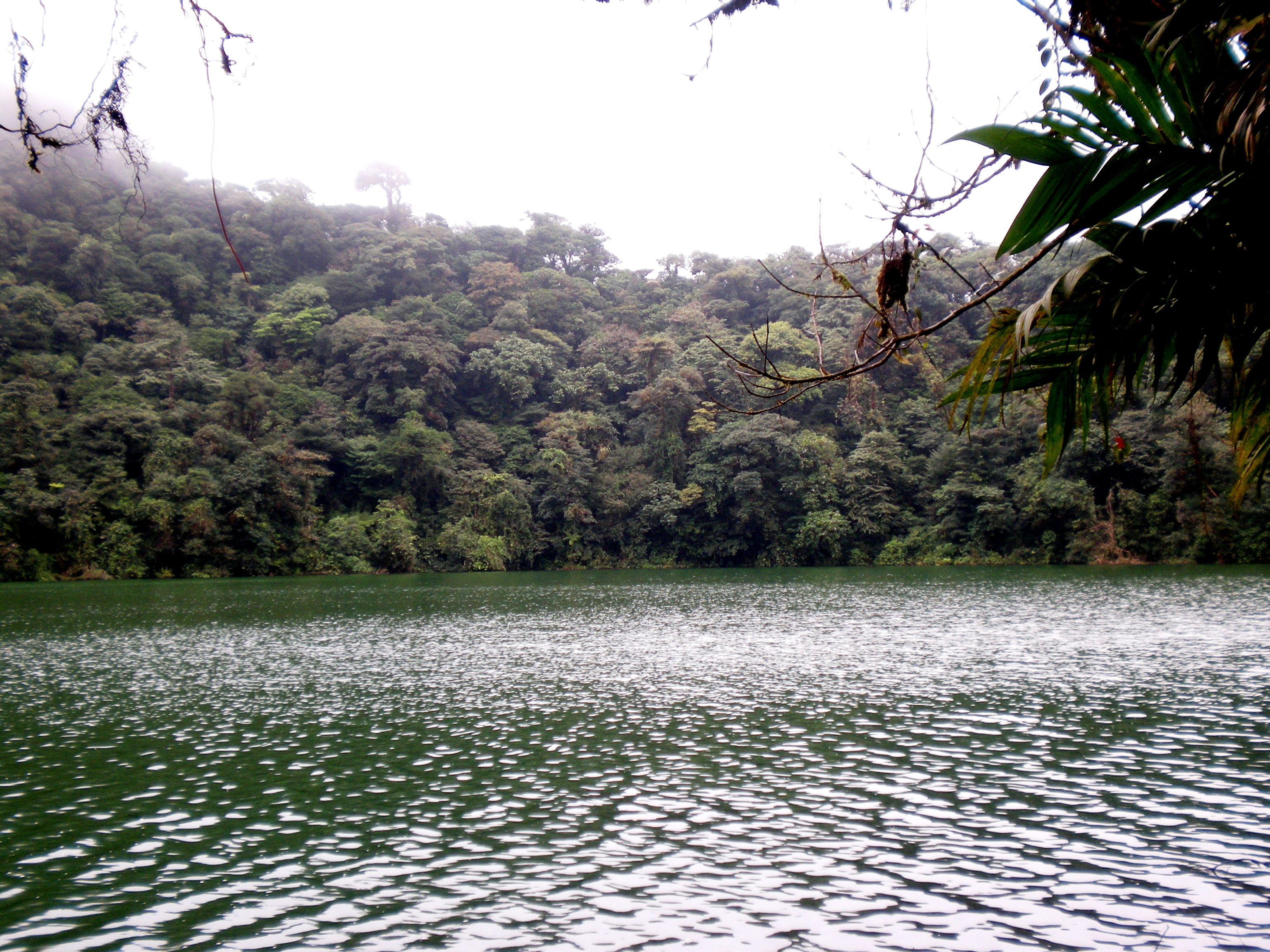 2024 Our Cerro Chato Hike Engagement The Official Costa Rica