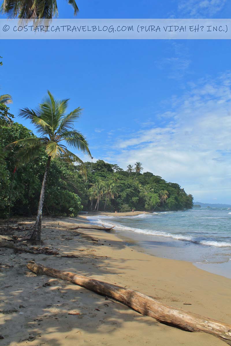 Puerto Viejo Costa Rica Pocket Hat