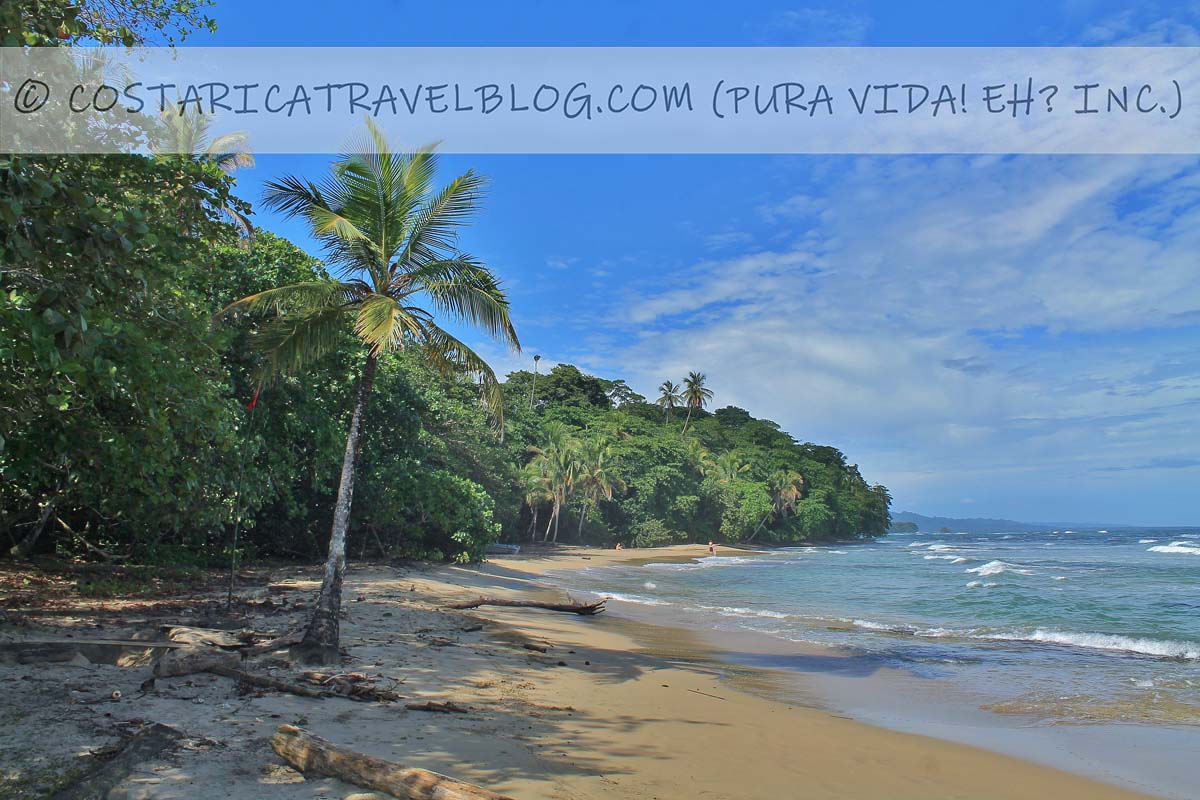 2024] Photos of Playa Chiquita Costa Rica (Caribbean) From Our