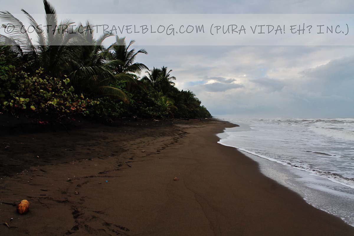 21 Costa Rica In April Costs Weather Wildlife Roads Tourism Closures And More The Official Costa Rica Travel Blog