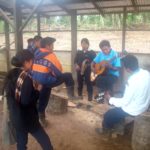 School Band , Quetzal