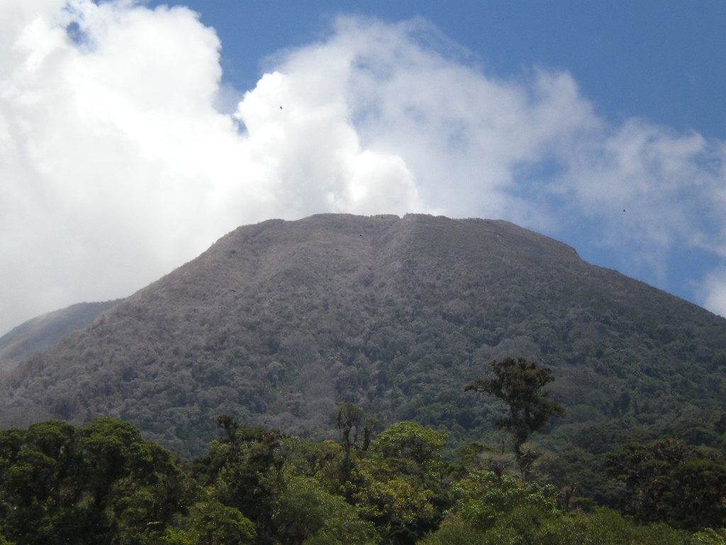 (2021) The Best Costa Rica Volcanoes: What To Know About Arenal, Irazu ...