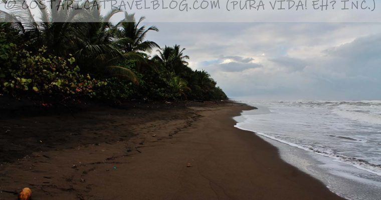 Costa Rica in April: Costs, Weather, Wildlife, Roads, Tourism Closures And More!