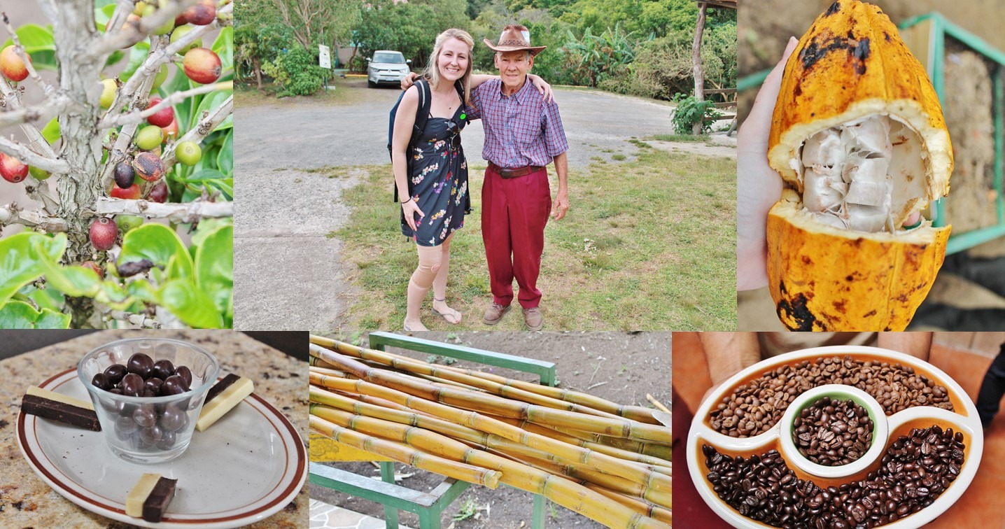 Monteverde Don Juan Coffee, Chocolate, And Sugar Cane Tour: A Trifecta Of Costa Rican Tradition, Temptation, And Trade