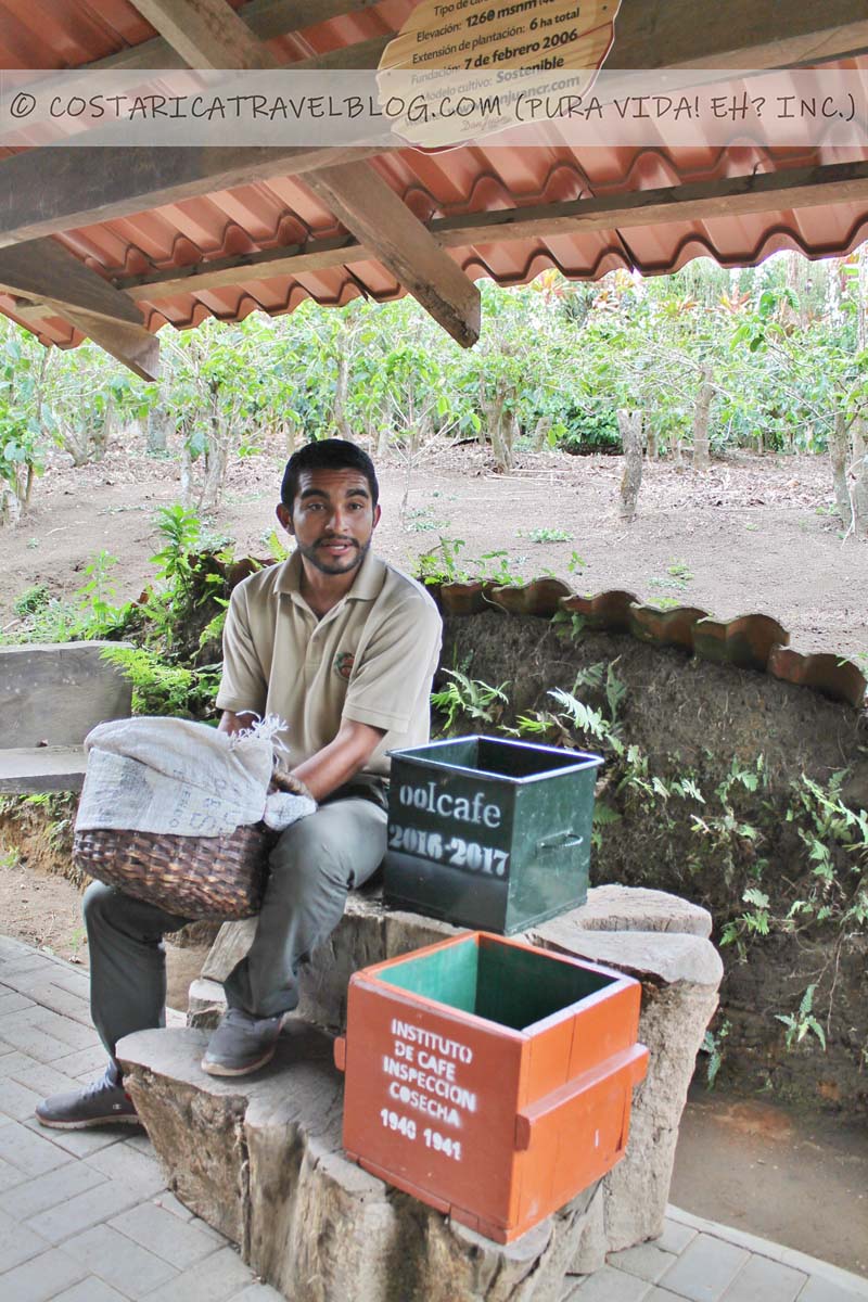 Monteverde coffee tour, chocolate tour, and sugarcane tour at Don Juan Tours