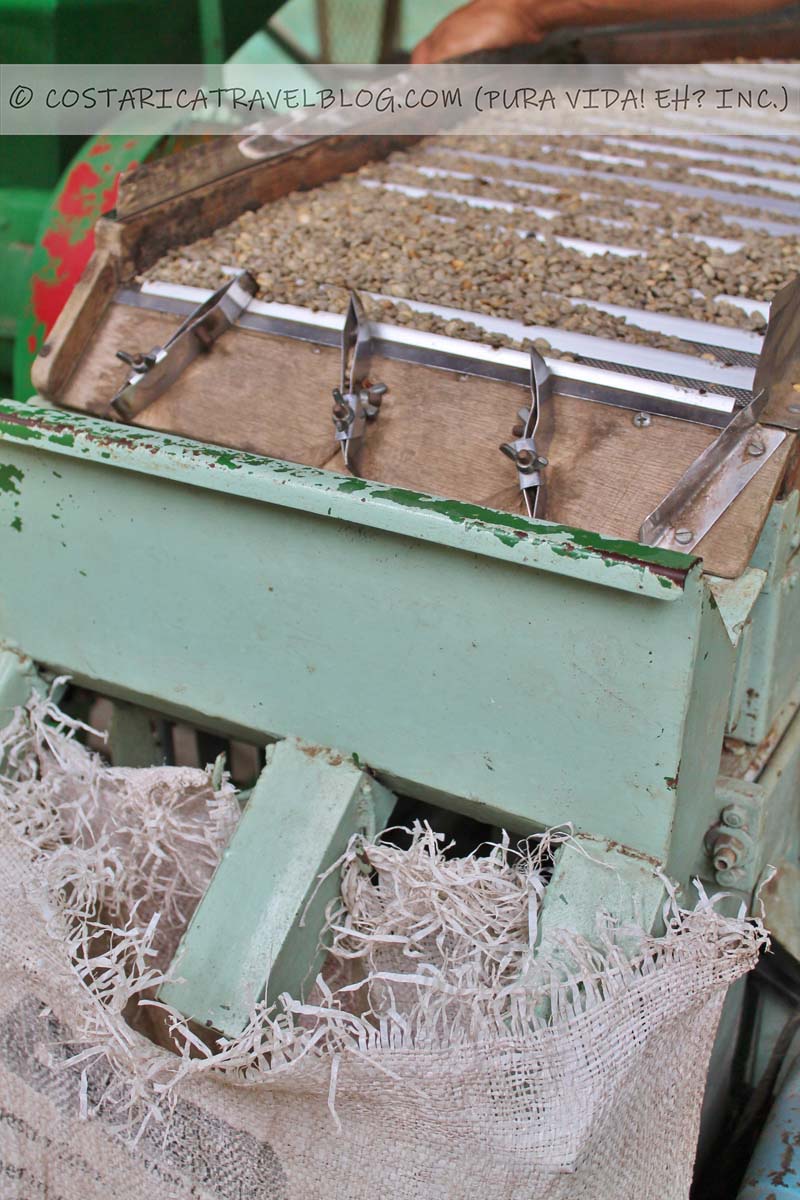 Monteverde coffee tour, chocolate tour, and sugarcane tour at Don Juan Tours