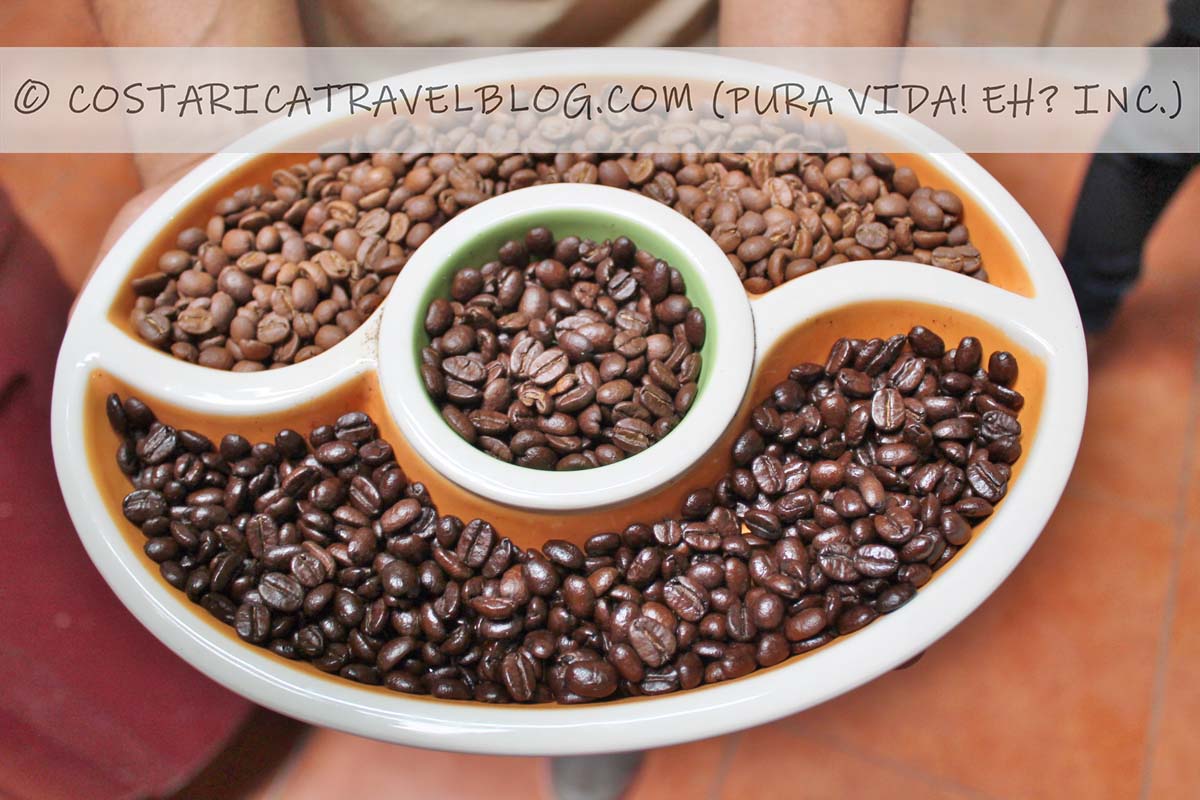 Monteverde coffee tour, chocolate tour, and sugarcane tour at Don Juan Tours