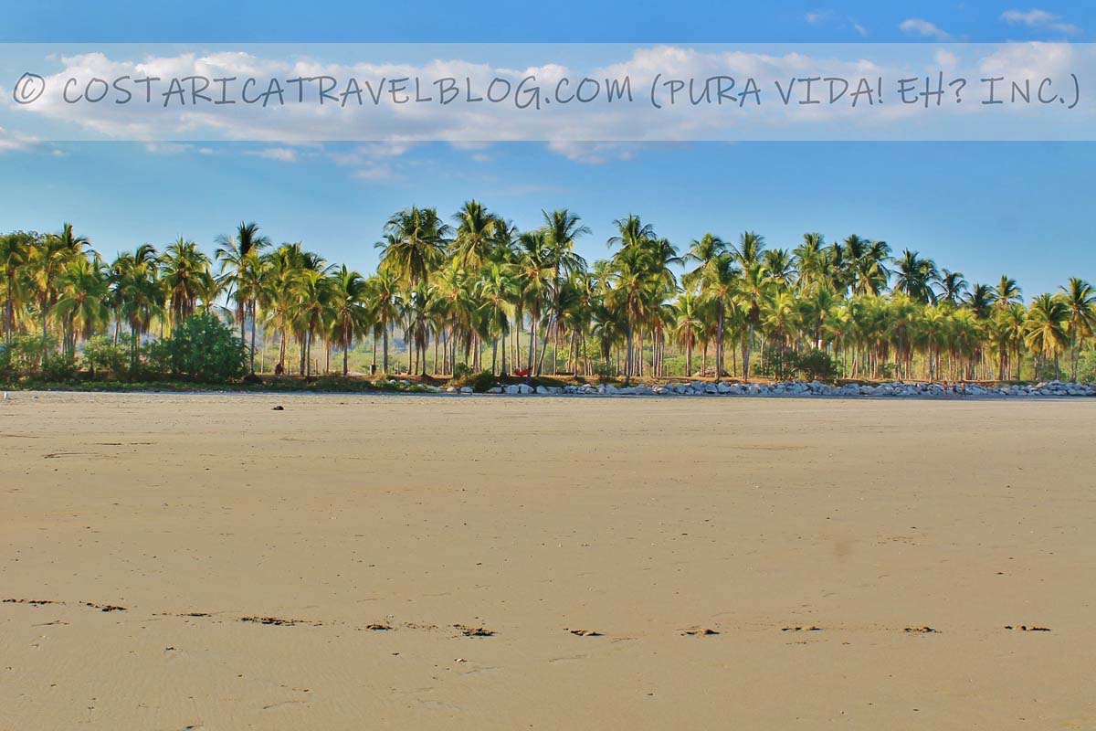 Photos of Playa Cangrejal Costa Rica (Nicoya Peninsula) From Our Personal Collection