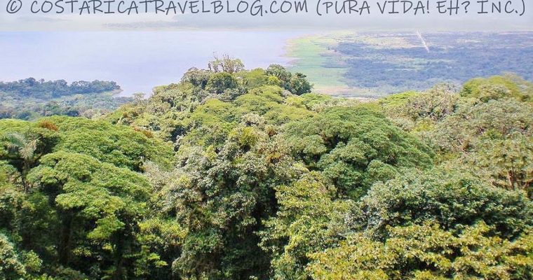 Arenal Sky Trek Canopy Ziplining Tour: Everything You Need To Know