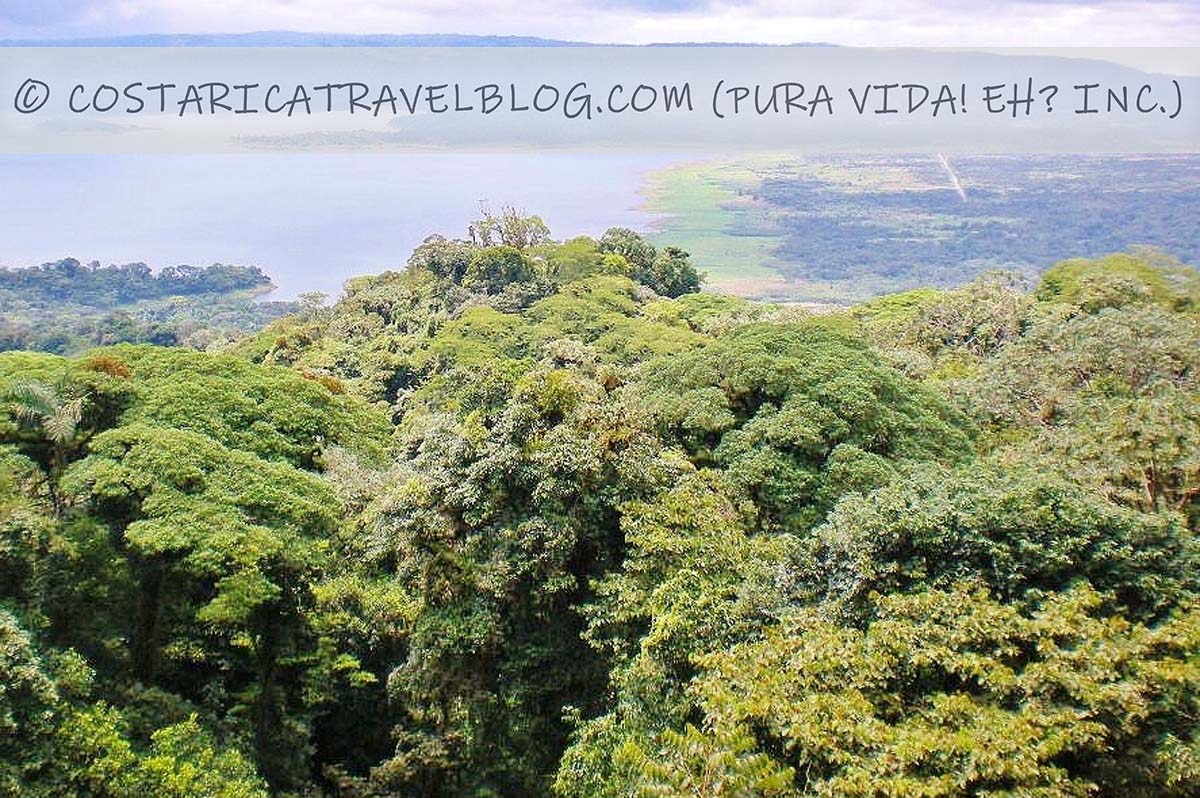 Arenal Sky Trek Canopy Ziplining Tour: Everything You Need To Know