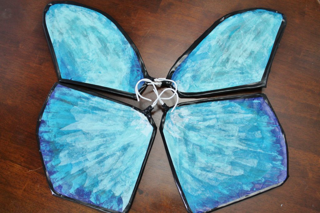 DIY Costa Rica morpho butterfly costume