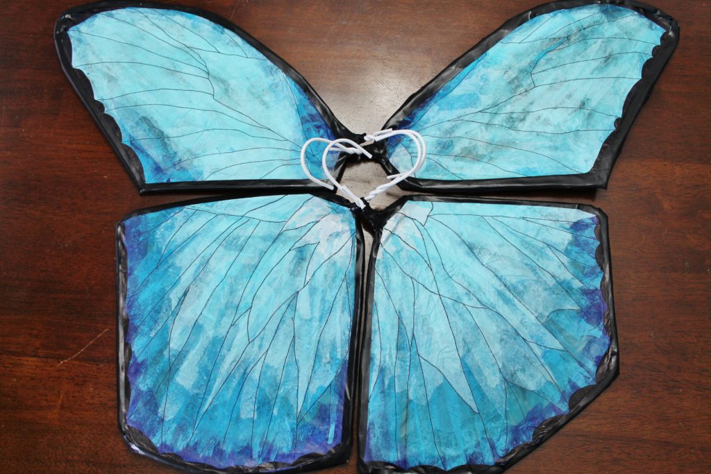 DIY Costa Rica morpho butterfly costume