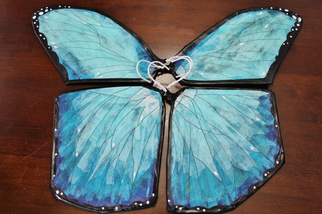 DIY Costa Rica morpho butterfly costume