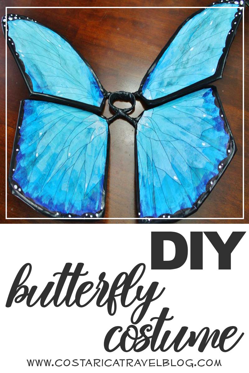 DIY butterfly costume