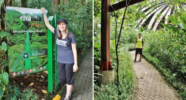 Selvatura Monteverde: Ziplining, Hanging Bridges, Butterfly / Hummingbird Gardens, And A Reptile / Amphibian Exhibit In The Cloud Forest