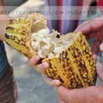 Costa Rica chocolate tour