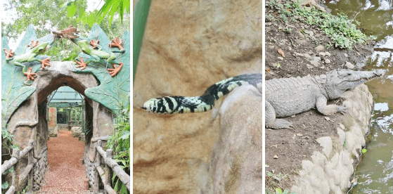 Arenal Natura Park: Butterflies, Frogs, Snakes, Crocodiles, Turtles, And More In La Fortuna
