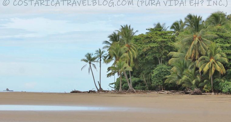 Best Beaches In Costa Rica: Central Pacific Beaches