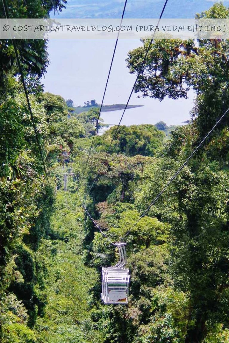 2025 Arenal Sky Tram Aerial Tram Everything You Need To Know The