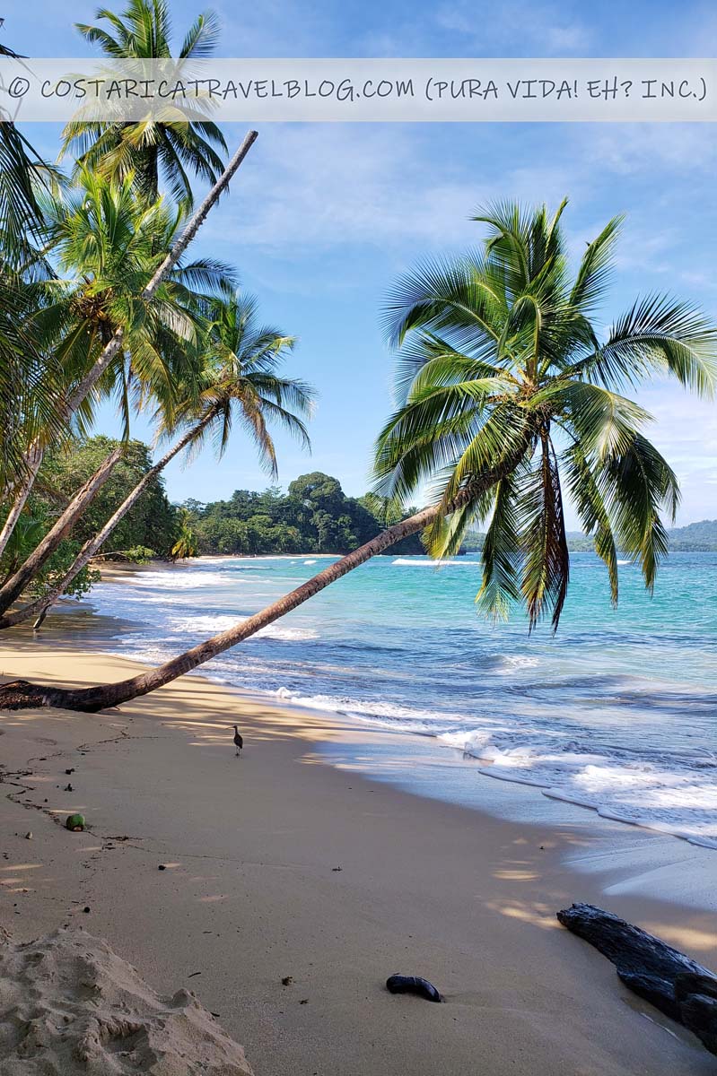 Playa Arrecife Costa Rica