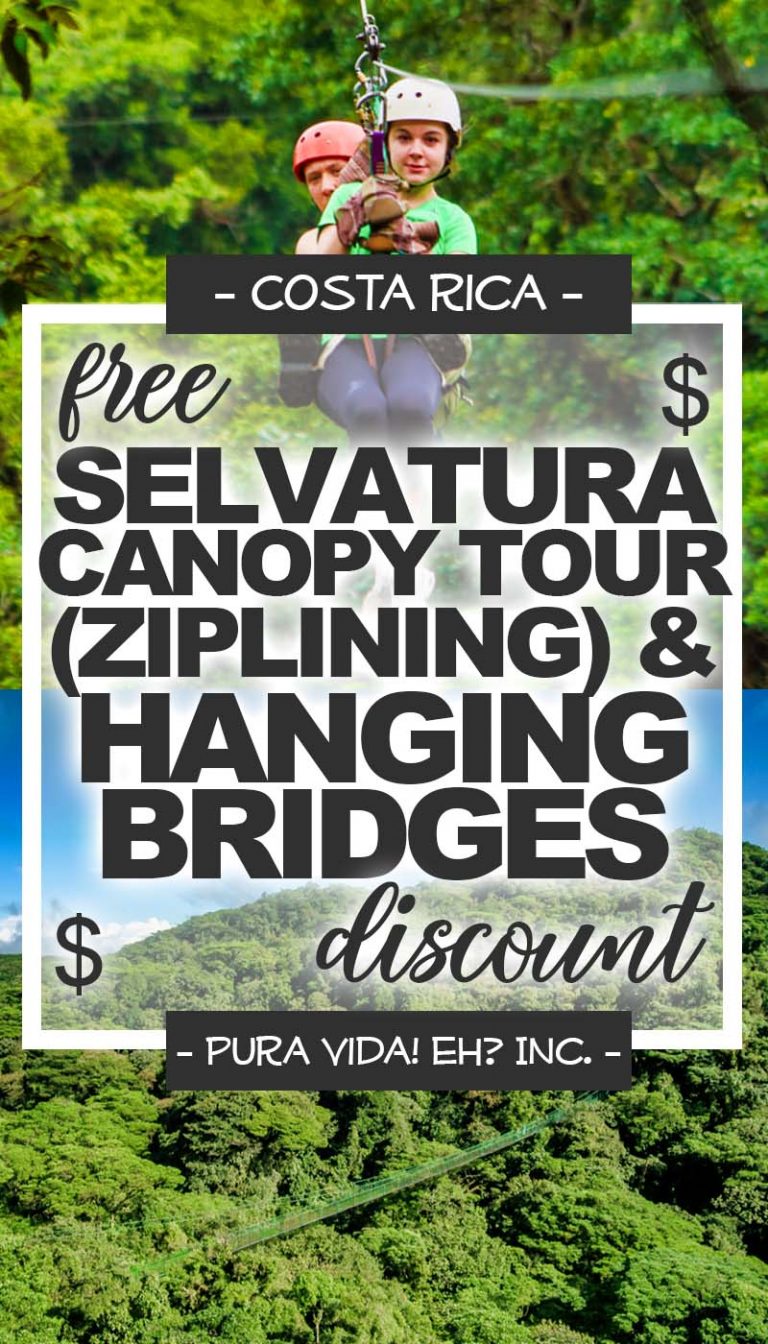 Best Hanging Bridges In Costa Rica: Comparing 4 In Arenal And ...