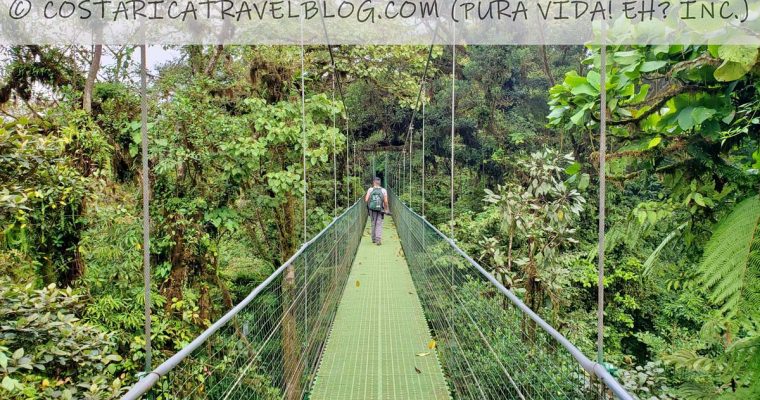 Best Hanging Bridges in Costa Rica: Comparing 4 in Arenal and Monteverde