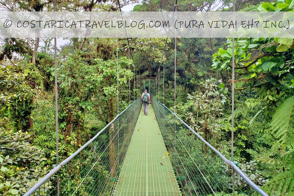 best hanging bridges in Costa Rica