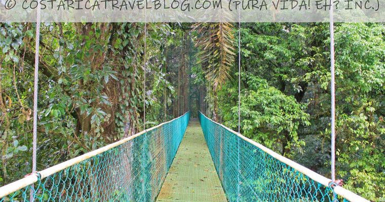 Arenal Sky Walk Hanging Bridges: Everything You Need To Know