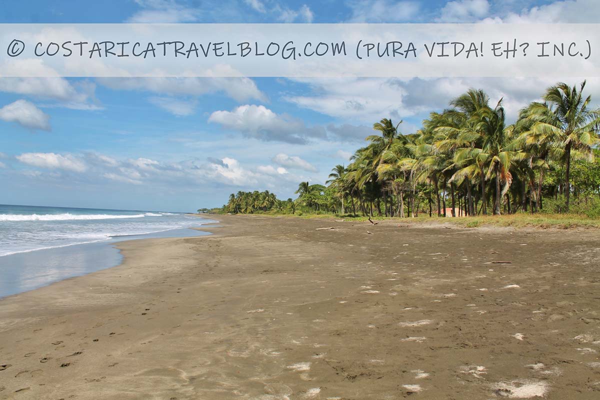 Photos of Playa Junquillal Costa Rica (Guanacaste) From Our Personal Collection