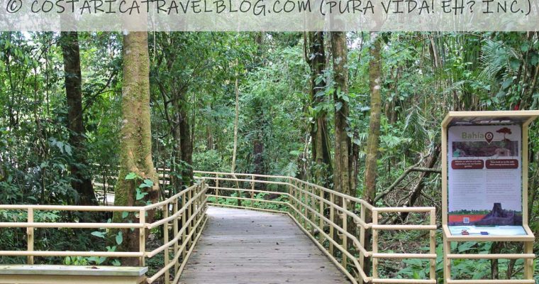Costa Rica in June: Costs, Weather, Wildlife, Roads, Tourism Closures And More!