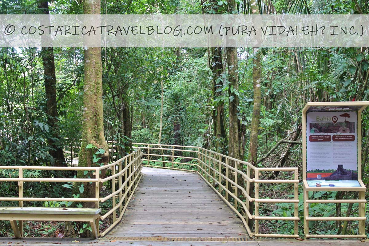 Costa Rica in June: Costs, Weather, Wildlife, Roads, Tourism Closures And More!
