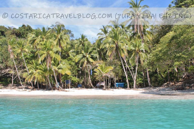 [2024] Photos of Playa Quesera Costa Rica (Nicoya Peninsula) From Our