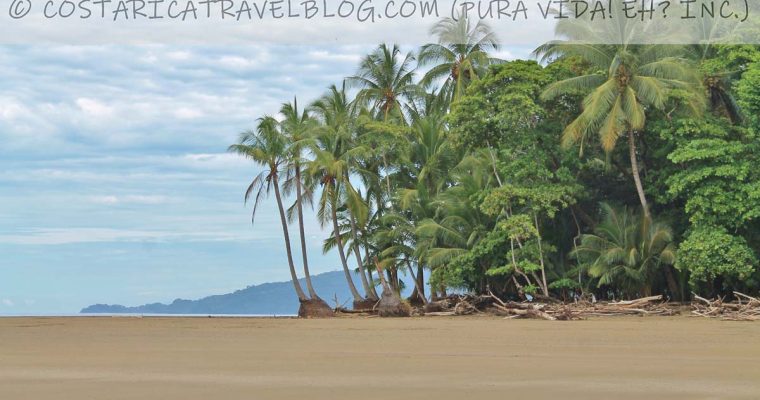 Photos of Playa Uvita Costa Rica (Central Pacific) From Our Personal Collection