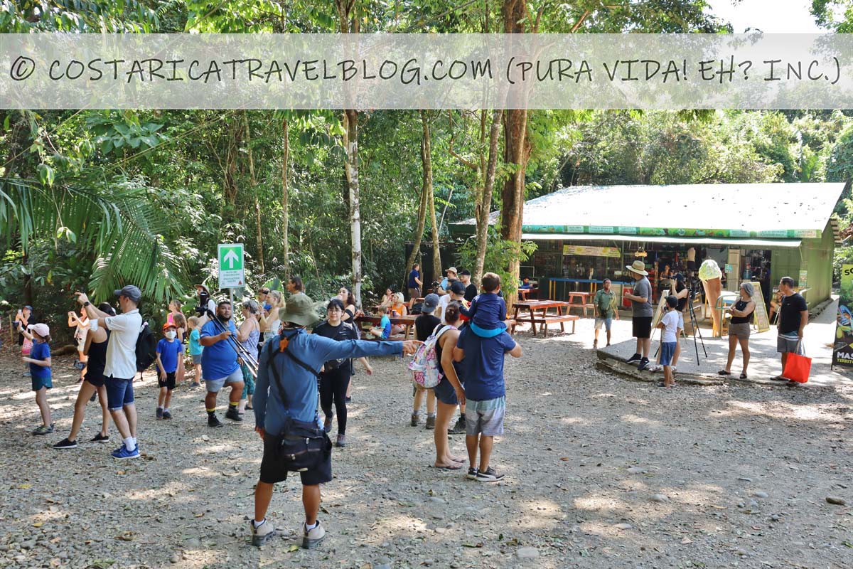 Costa Rica tours and activities