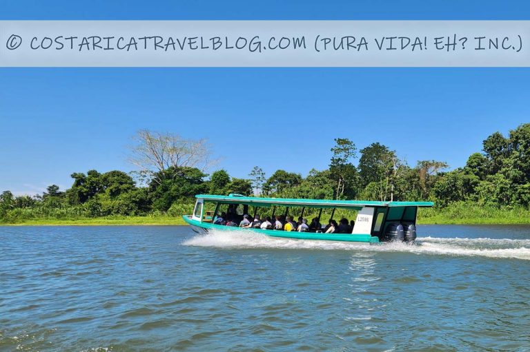 [2025] Tortuguero Transportation: Comparing La Pavona And Cano Blanco ...