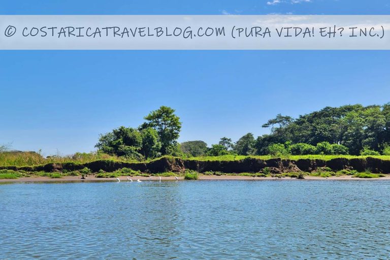 [2025] Tortuguero Transportation: Comparing La Pavona And Cano Blanco ...