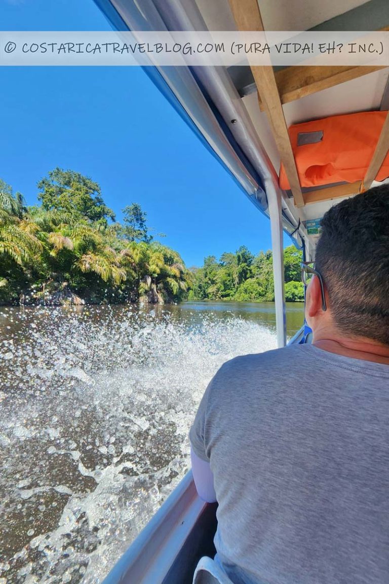 [2025] Tortuguero Transportation: Comparing La Pavona And Cano Blanco ...