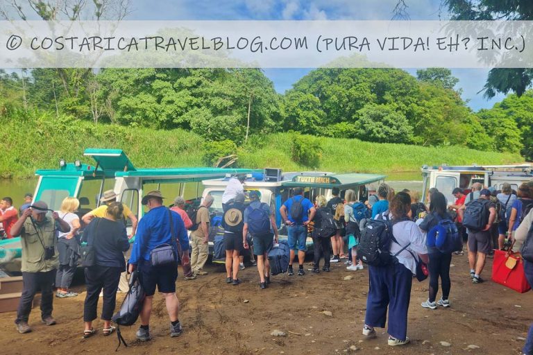 [2025] Tortuguero Transportation: Comparing La Pavona And Cano Blanco ...