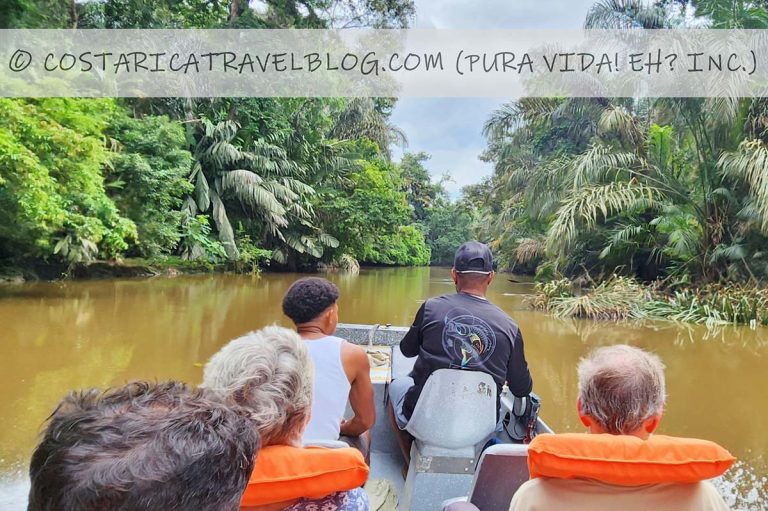 [2025] Tortuguero Transportation: Comparing La Pavona And Cano Blanco ...