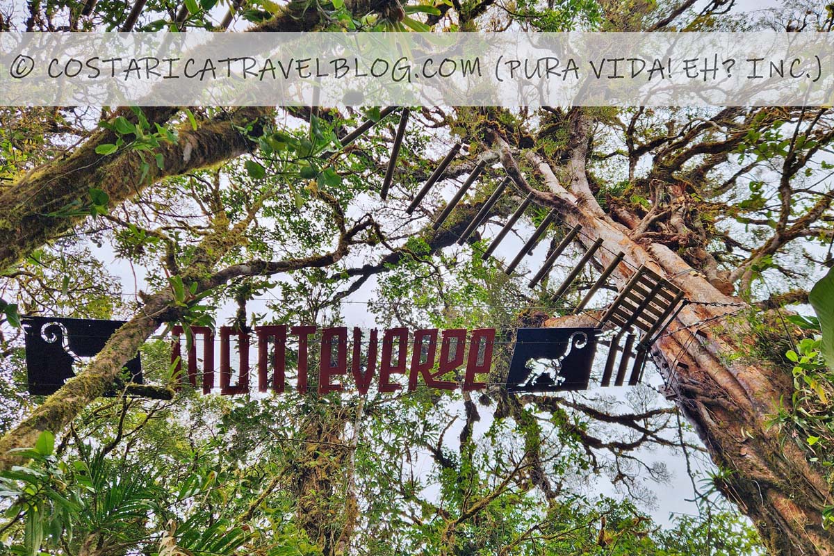 tree top canopy tour monteverde