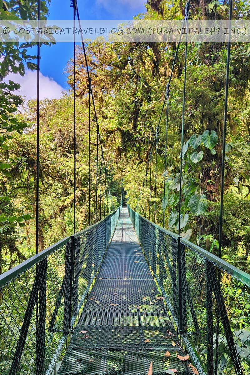 Treetop Walkways Hanging Bridges
