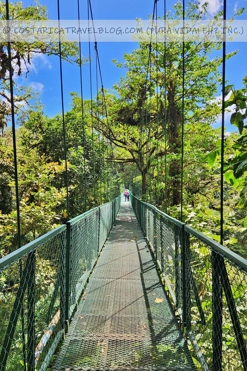 Treetop Walkways Hanging Bridges