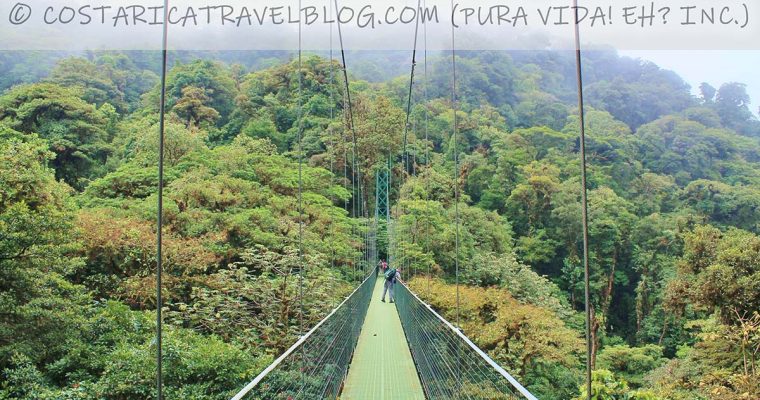 Treetopia Park or Selvatura Park: Which Monteverde Hanging Bridges Are The Best?