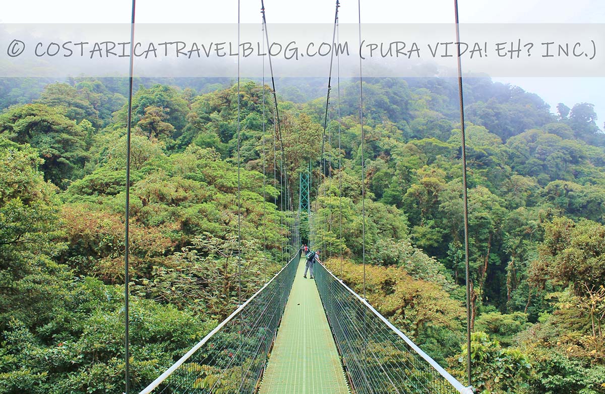 best monteverde hanging bridges costa rica